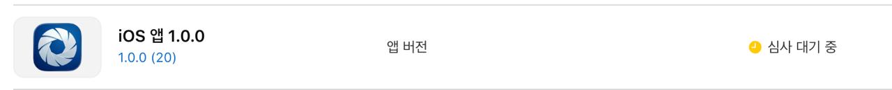 App Store 심사 대기 중